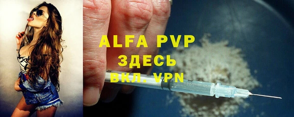 сатива Богородицк