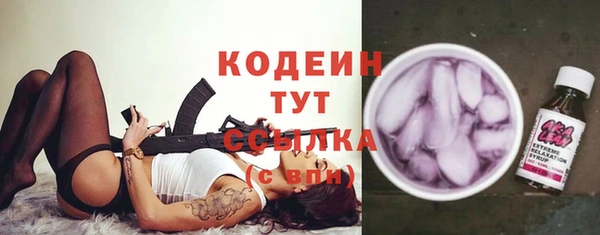 спиды Богданович