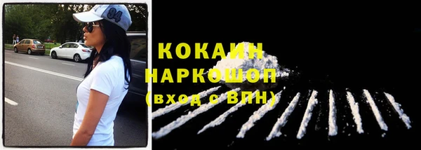 спиды Богданович