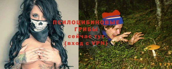 сатива Богородицк