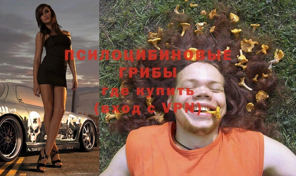 спиды Богданович