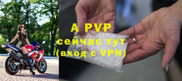 сатива Богородицк