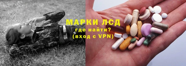 спиды Богданович