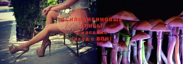 спиды Богданович