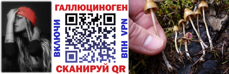 сколько стоит  Павловская  Галлюциногенные грибы прущие грибы 